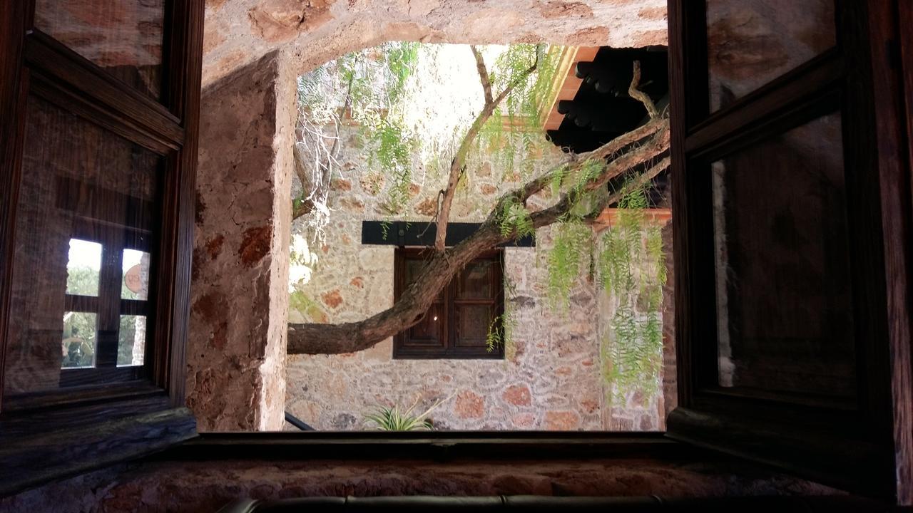 Hacienda Tovares カデレイタ・デ・モンテス エクステリア 写真